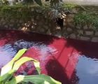 Heboh Viral Air Sungai Di Bekasi Berubah Jadi Warna Merah